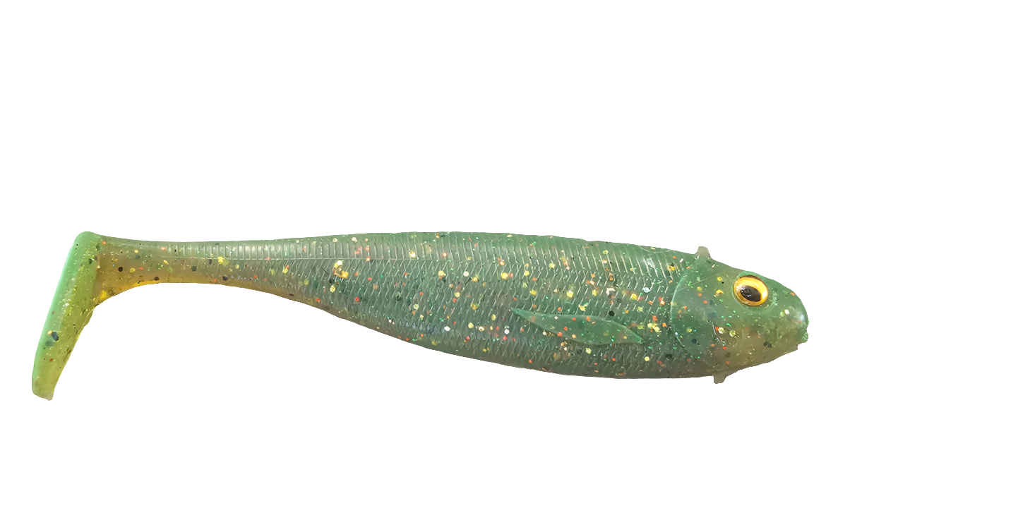 LOONGZE SHAD