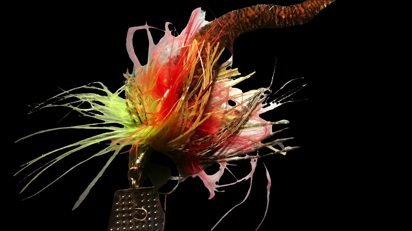 Zf-Hybrid drangonfly