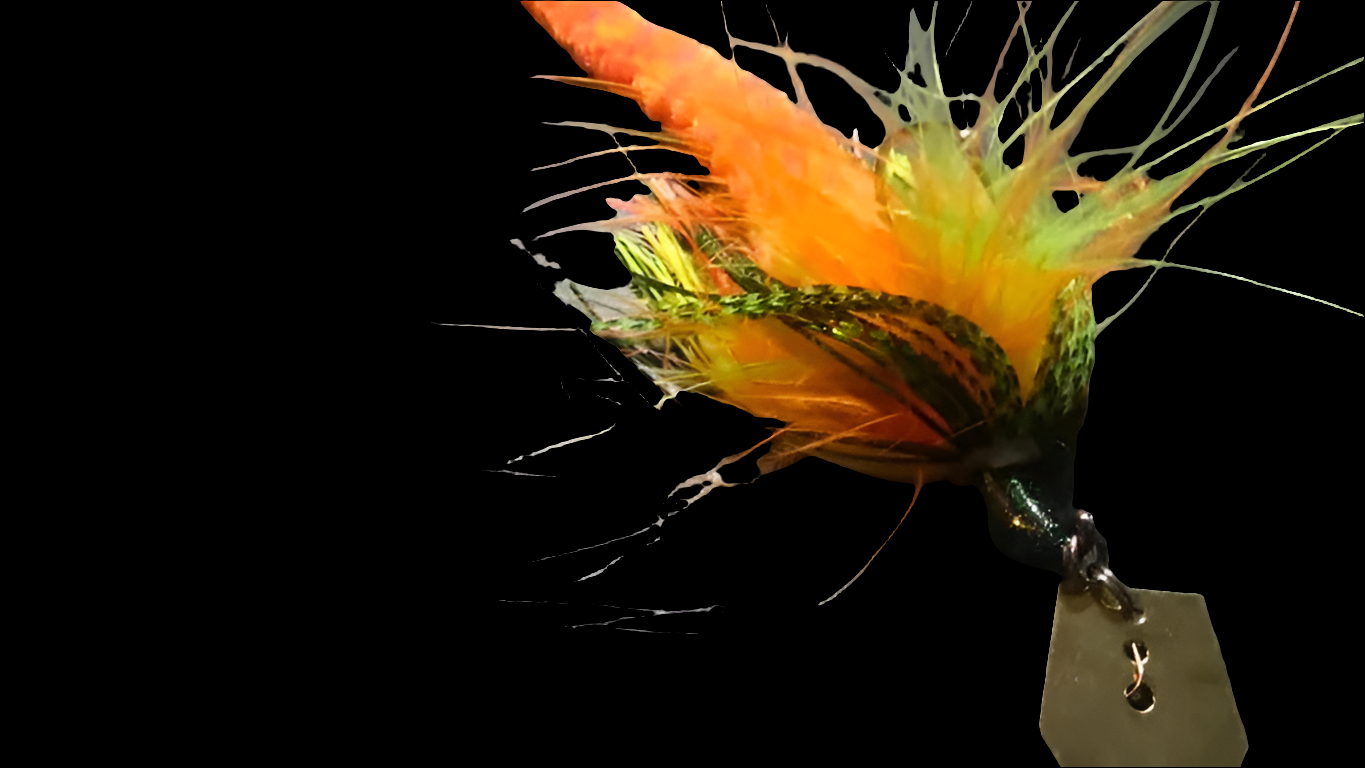 Zf-Hybrid drangonfly