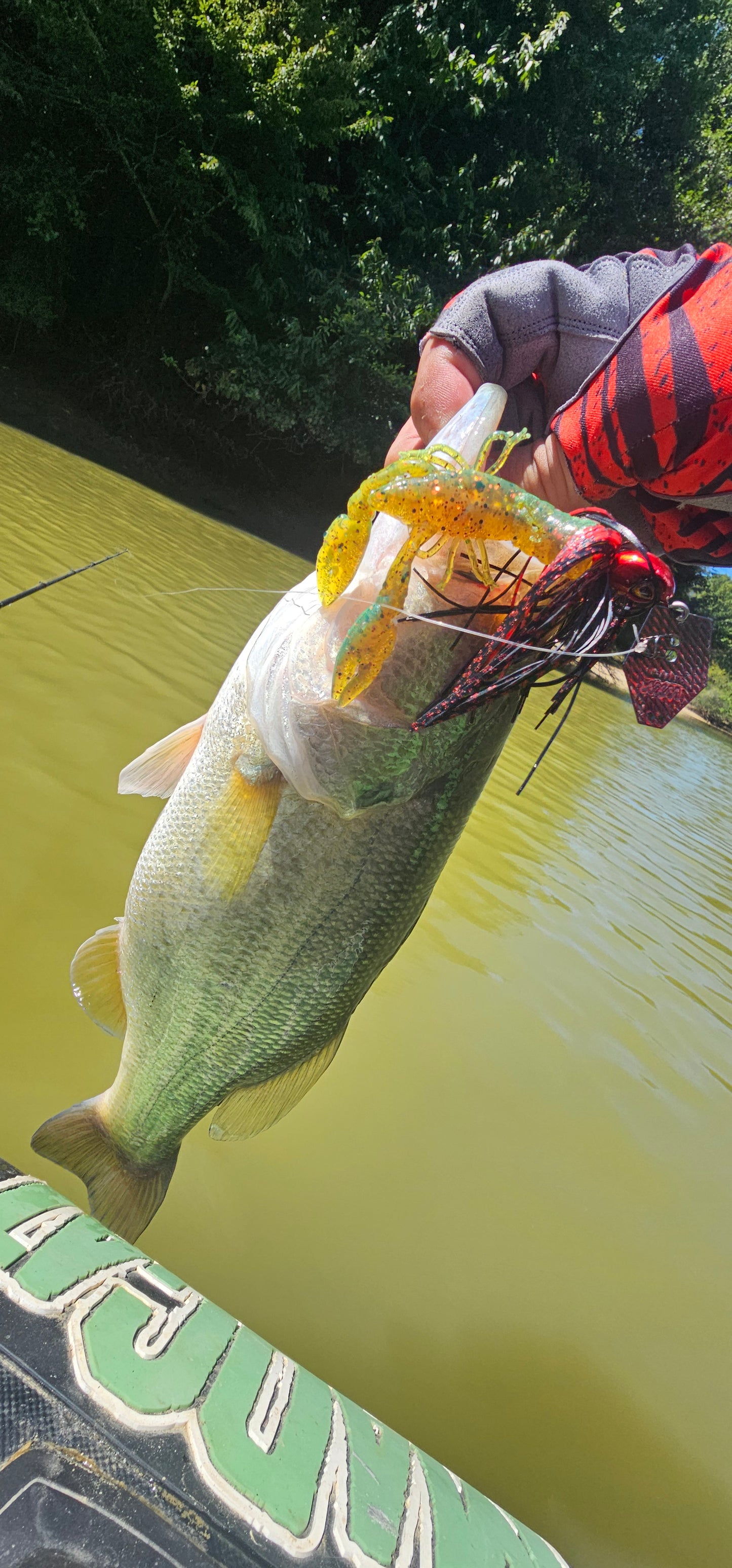 Maëlys l'Écrevisse