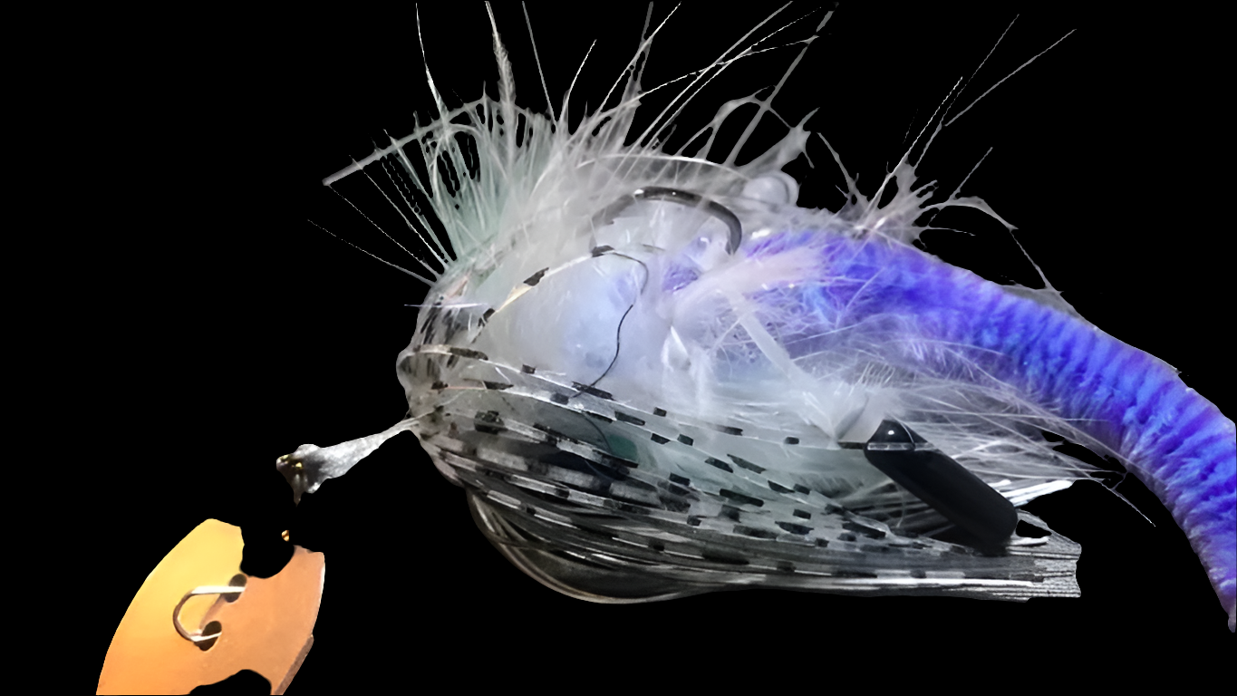 Zf-Hybrid drangonfly