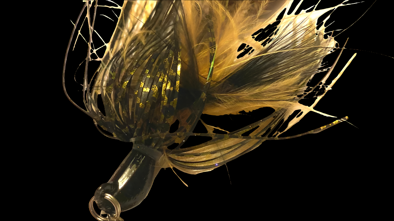 Zf-Hybrid drangonfly