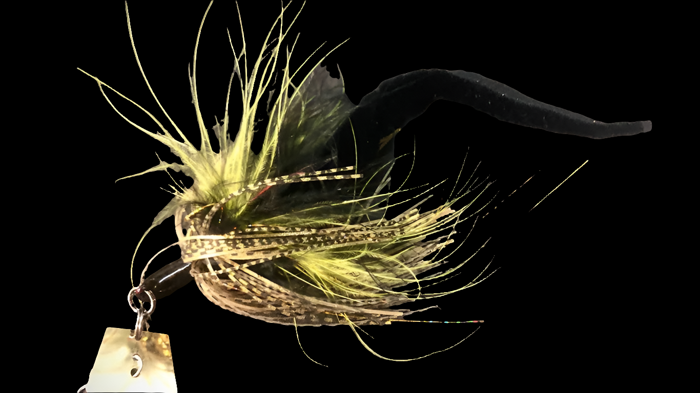 Zf-Hybrid drangonfly