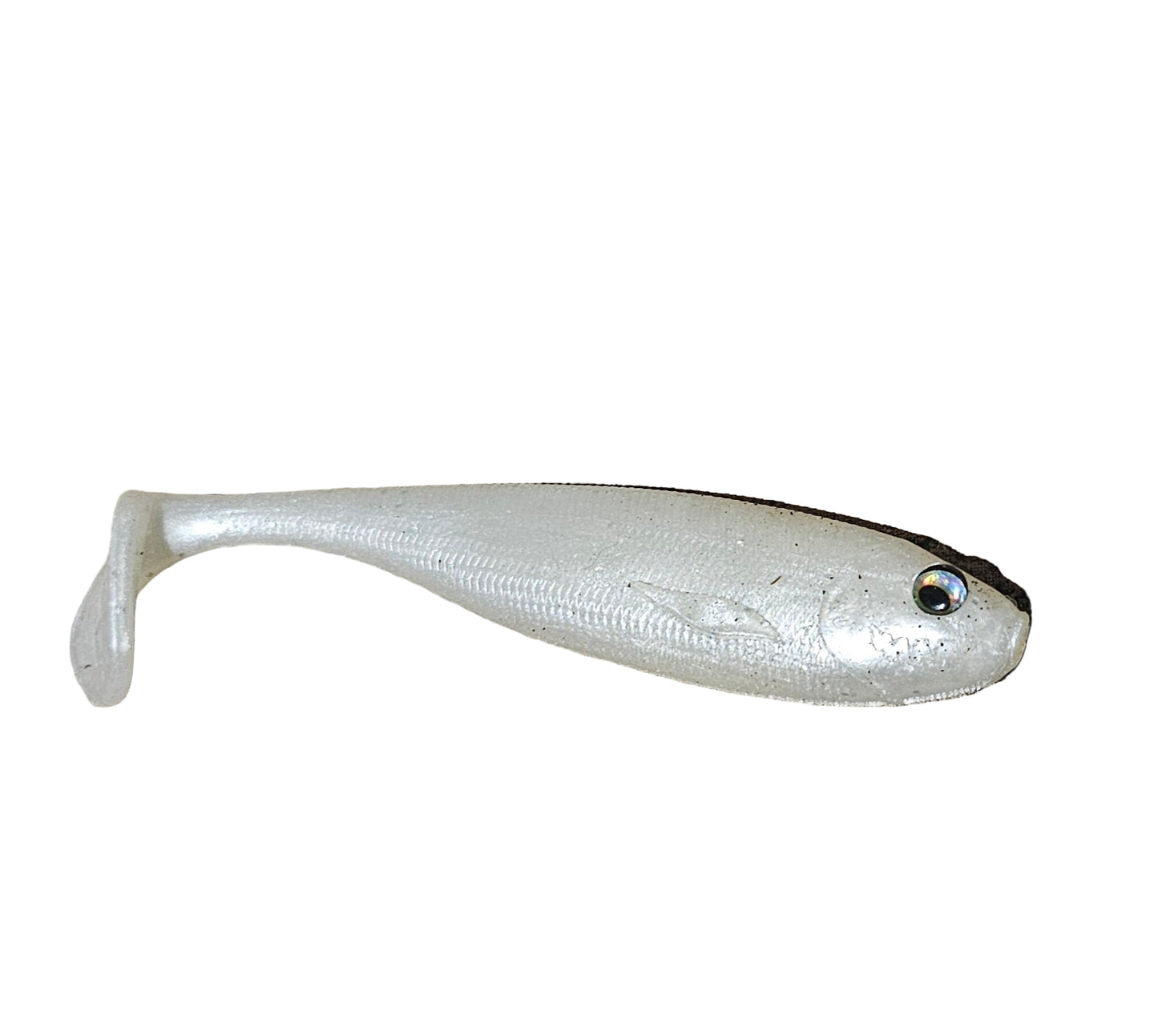 LOONGZE SHAD